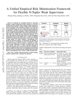 A Unified Empirical Risk Minimization Framework for Flexible N-Tuples Weak Supervision