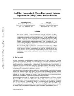 SurfDist: Interpretable Three-Dimensional Instance Segmentation Using Curved Surface Patches