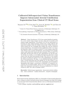 Calibrated Self-supervised Vision Transformers Improve Intracranial Arterial Calcification Segmentation from Clinical CT Head Scans
