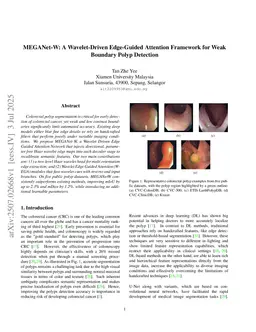 MEGANet-W: A Wavelet-Driven Edge-Guided Attention Framework for Weak Boundary Polyp Detection