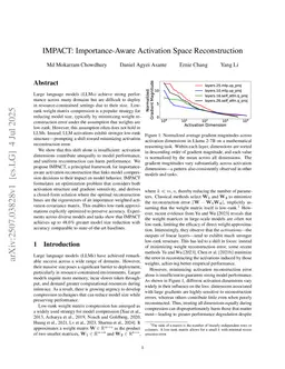 Importance-Aware Activation Space Reconstruction