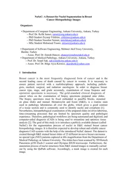 NuSeC: A Dataset for Nuclei Segmentation in Breast Cancer Histopathology Images