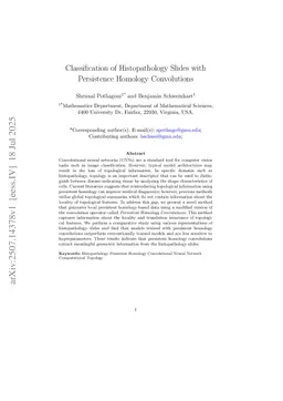 Classification of Histopathology Slides with Persistence Homology Convolutions