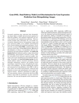 Gene-DML: Dual-Pathway Multi-Level Discrimination for Gene Expression Prediction from Histopathology Images