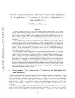 Partial Symmetry Enforced Attention Decomposition (PSEAD): A Group-Theoretic Framework for Equivariant Transformers in Biological Systems