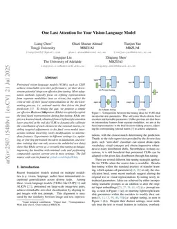 One Last Attention for Your Vision-Language Model