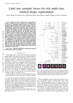 Label tree semantic losses for rich multi-class medical image segmentation