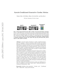 Systole-Conditioned Generative Cardiac Motion