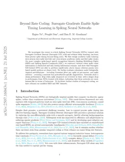Beyond Rate Coding: Surrogate Gradients Enable Spike Timing Learning in Spiking Neural Networks