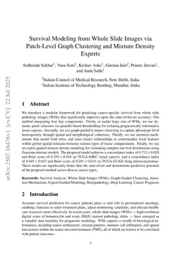 Survival Modeling from Whole Slide Images via Patch-Level Graph Clustering and Mixture Density Experts