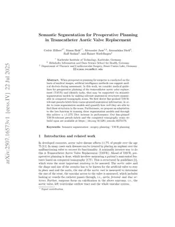 Semantic Segmentation for Preoperative Planning in Transcatheter Aortic Valve Replacement
