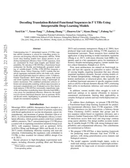 Decoding Translation-Related Functional Sequences in 5ÚTRs Using Interpretable Deep Learning Models