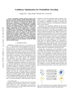 Confidence Optimization for Probabilistic Encoding