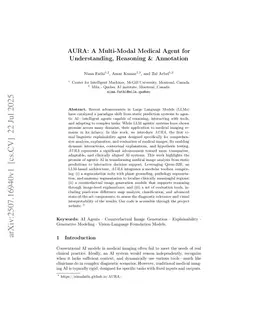 AURA: A Multi-Modal Medical Agent for Understanding, Reasoning & Annotation