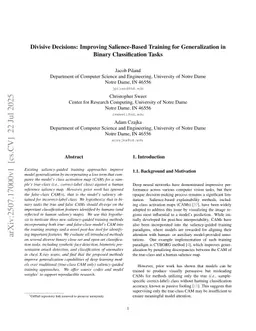 Divisive Decisions: Improving Salience-Based Training for Generalization in Binary Classification Tasks