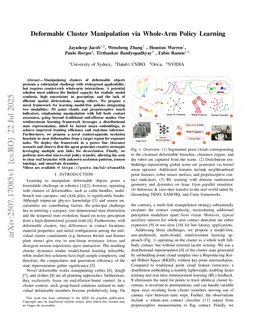 Deformable Cluster Manipulation via Whole-Arm Policy Learning