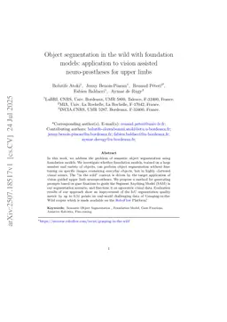 Object segmentation in the wild with foundation models: application to vision assisted neuro-prostheses for upper limbs