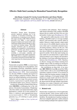 Effective Multi-Task Learning for Biomedical Named Entity Recognition