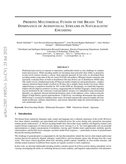 Probing Multimodal Fusion in the Brain: The Dominance of Audiovisual Streams in Naturalistic Encoding