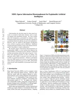 SIDE: Sparse Information Disentanglement for Explainable Artificial Intelligence