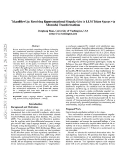 TokenBlowUp: Resolving Representational Singularities in LLM Token Spaces via Monoidal Transformations