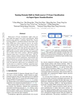 Taming Domain Shift in Multi-source CT-Scan Classification via Input-Space Standardization