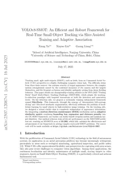 YOLOv8-SMOT: An Efficient and Robust Framework for Real-Time Small Object Tracking via Slice-Assisted Training and Adaptive Association
