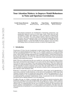 Your Attention Matters: to Improve Model Robustness to Noise and Spurious Correlations