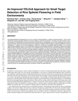 An Improved YOLOv8 Approach for Small Target Detection of Rice Spikelet Flowering in Field Environments