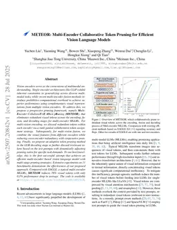 METEOR: Multi-Encoder Collaborative Token Pruning for Efficient Vision Language Models