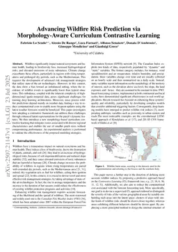 Advancing Wildfire Risk Prediction via Morphology-Aware Curriculum Contrastive Learning