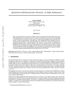 Querying GI Endoscopy Images: A VQA Approach
