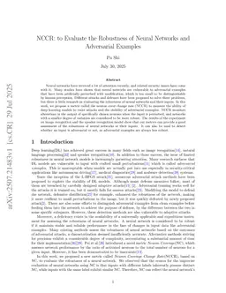 NCCR: to Evaluate the Robustness of Neural Networks and Adversarial Examples