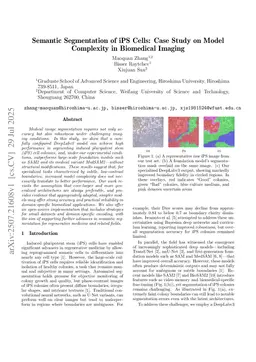 Semantic Segmentation of iPS Cells: Case Study on Model Complexity in Biomedical Imaging