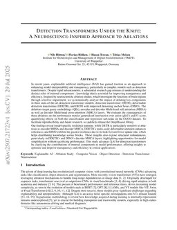 Detection Transformers Under the Knife: A Neuroscience-Inspired Approach to Ablations