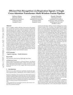 Efficient Pain Recognition via Respiration Signals: A Single Cross-Attention Transformer Multi-Window Fusion Pipeline