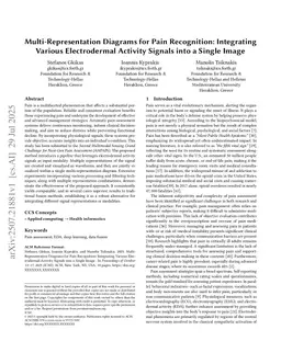 Multi-Representation Diagrams for Pain Recognition: Integrating Various Electrodermal Activity Signals into a Single Image