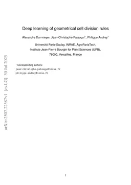 Deep learning of geometrical cell division rules