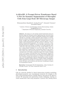 trAIce3D: A Prompt-Driven Transformer Based U-Net for Semantic Segmentation of Microglial Cells from Large-Scale 3D Microscopy Images
