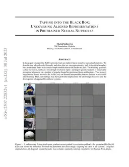 Pulling Back the Curtain on ReLU Networks