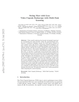 Seeing More with Less: Video Capsule Endoscopy with Multi-Task Learning