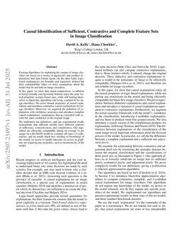 Causal Identification of Sufficient, Contrastive and Complete Feature Sets in Image Classification