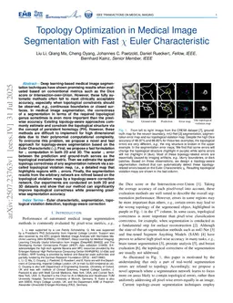 Topology Optimization in Medical Image Segmentation with Fast Euler Characteristic
