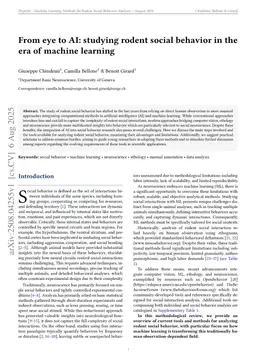 From eye to AI: studying rodent social behavior in the era of machine Learning