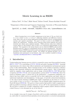 Metric Learning in an RKHS