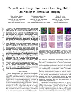 Cross-Domain Image Synthesis: Generating H&E from Multiplex Biomarker Imaging