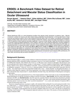 ERDES: A Benchmark Video Dataset for Retinal Detachment and Macular Status Classification in Ocular Ultrasound