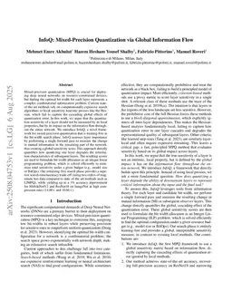 InfoQ: Mixed-Precision Quantization via Global Information Flow
