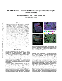 AdvDINO: Domain-Adversarial Self-Supervised Representation Learning for Spatial Proteomics