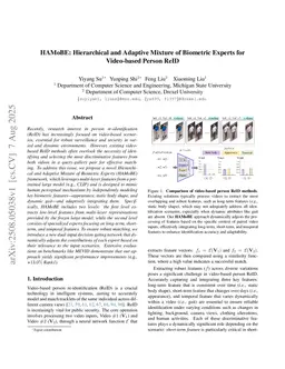 HAMoBE: Hierarchical and Adaptive Mixture of Biometric Experts for Video-based Person ReID